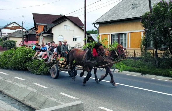 Die Zunahme der Stadt-Land-Migration: Erkenntnisse von TikTok