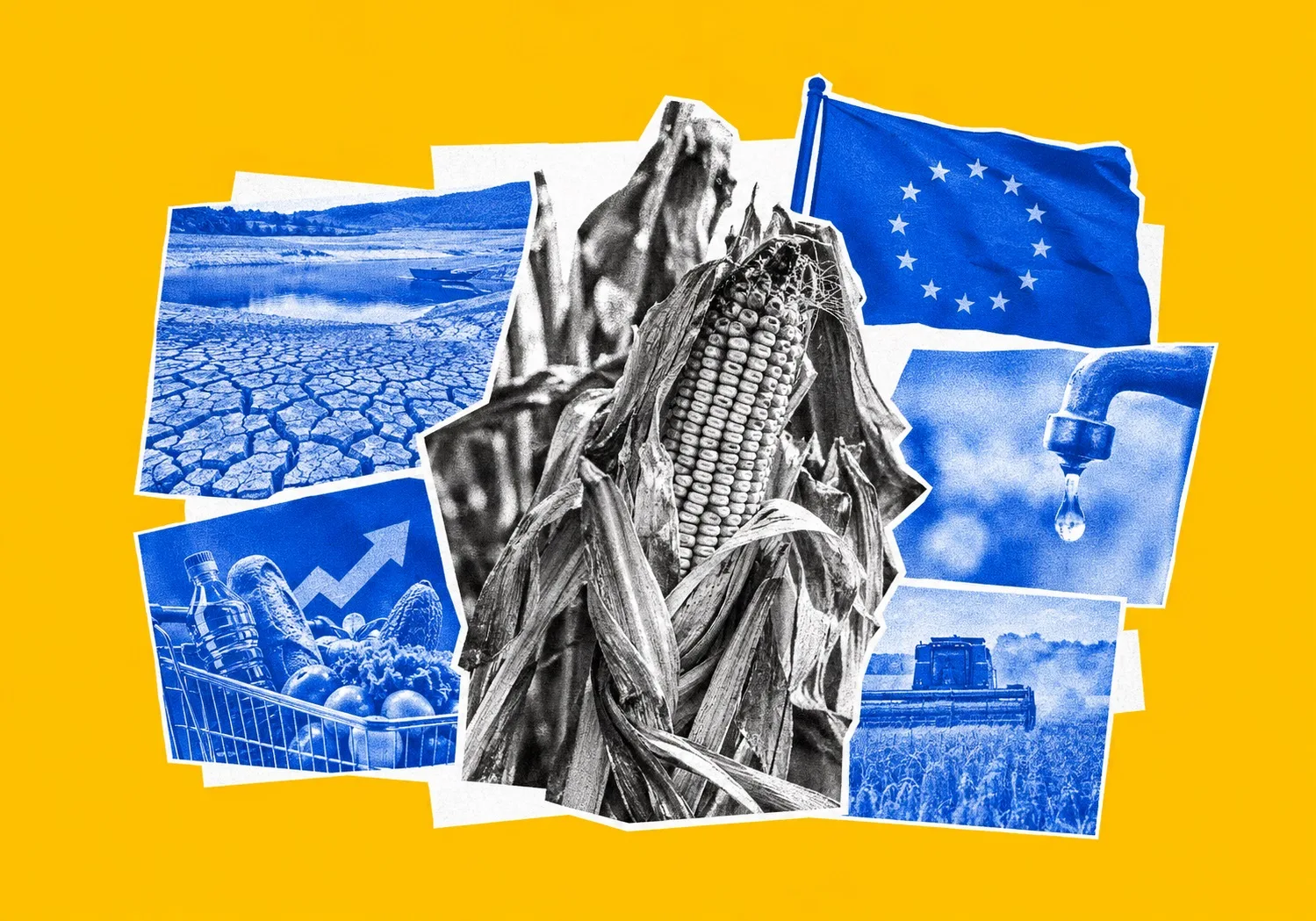 EU-Dürre 2026: Wie ein 19-Jahres-Tief bei der Maisernte die Lebensmittelinflation und die Wasserknappheit antreibt