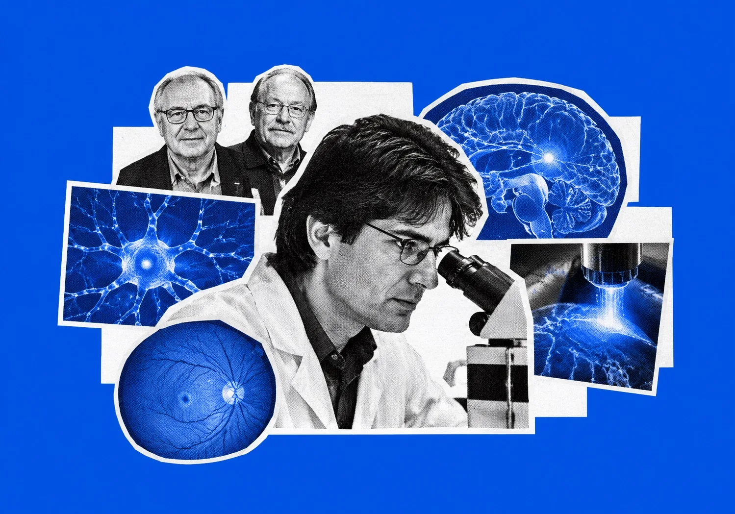 Nobelpreis für Medizin 2026: Wie die Optogenetik Licht in einen Schalter zur Hirnsteuerung verwandelte